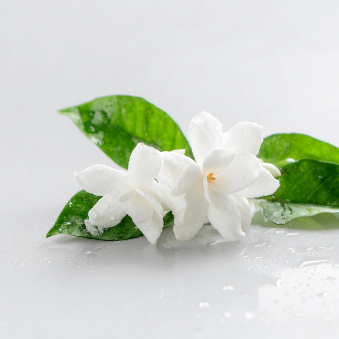 Gamme Monoï, parfum floral et solaire